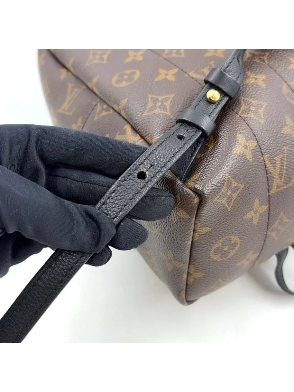 Louis Vuitton Palm Springs PM Monogram Leather